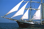 Sail 2003, Bark Antigua : Segelschiffe